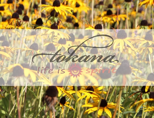 Erfüllt sich ein Wunsch nicht, wacht das Universum über Dich