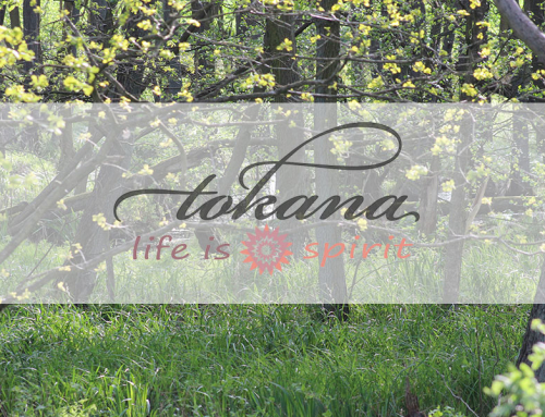 Der Moment der Stille und der Kraft