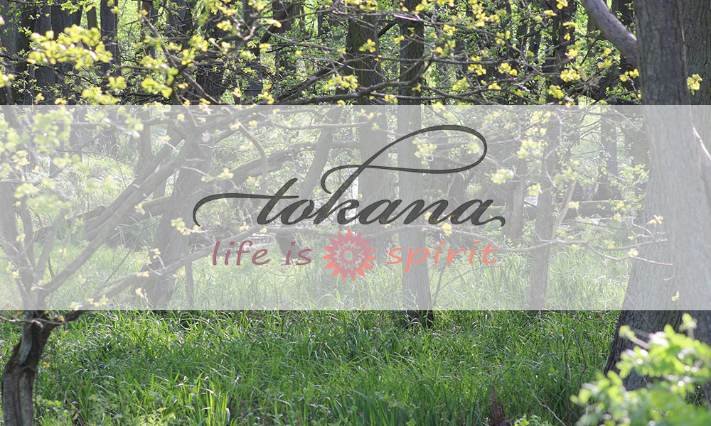 Life Is Spirit Blog - Teaserbild